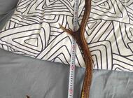 Grajewo ogłoszenia: Sprzedam waga całkowita wszystkich 6 ,84 kg cena do uzgodnienia... - zdjęcie